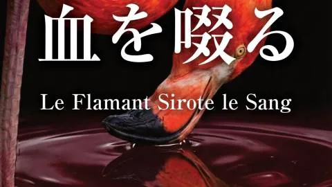 紅鶴は血を啜る