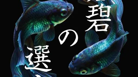 蒼碧の選定