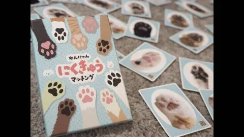 わんにゃんにくきゅうマッチング