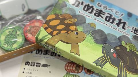 ならべて！かめまみれの池