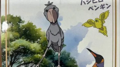 ハシビロペンギン