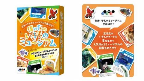 僕の私のいきものミュージアム
