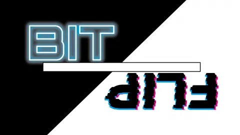 BITFLIP ビットフリップ
