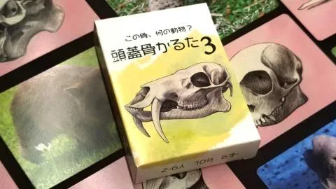 頭蓋骨かるた３