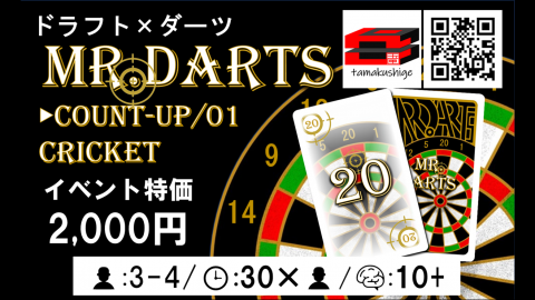 MR.DARTS